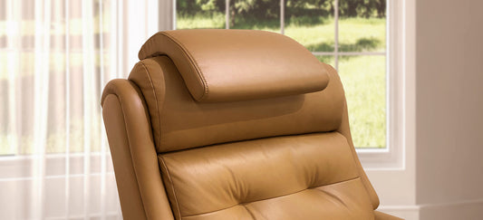 Leather Cushions